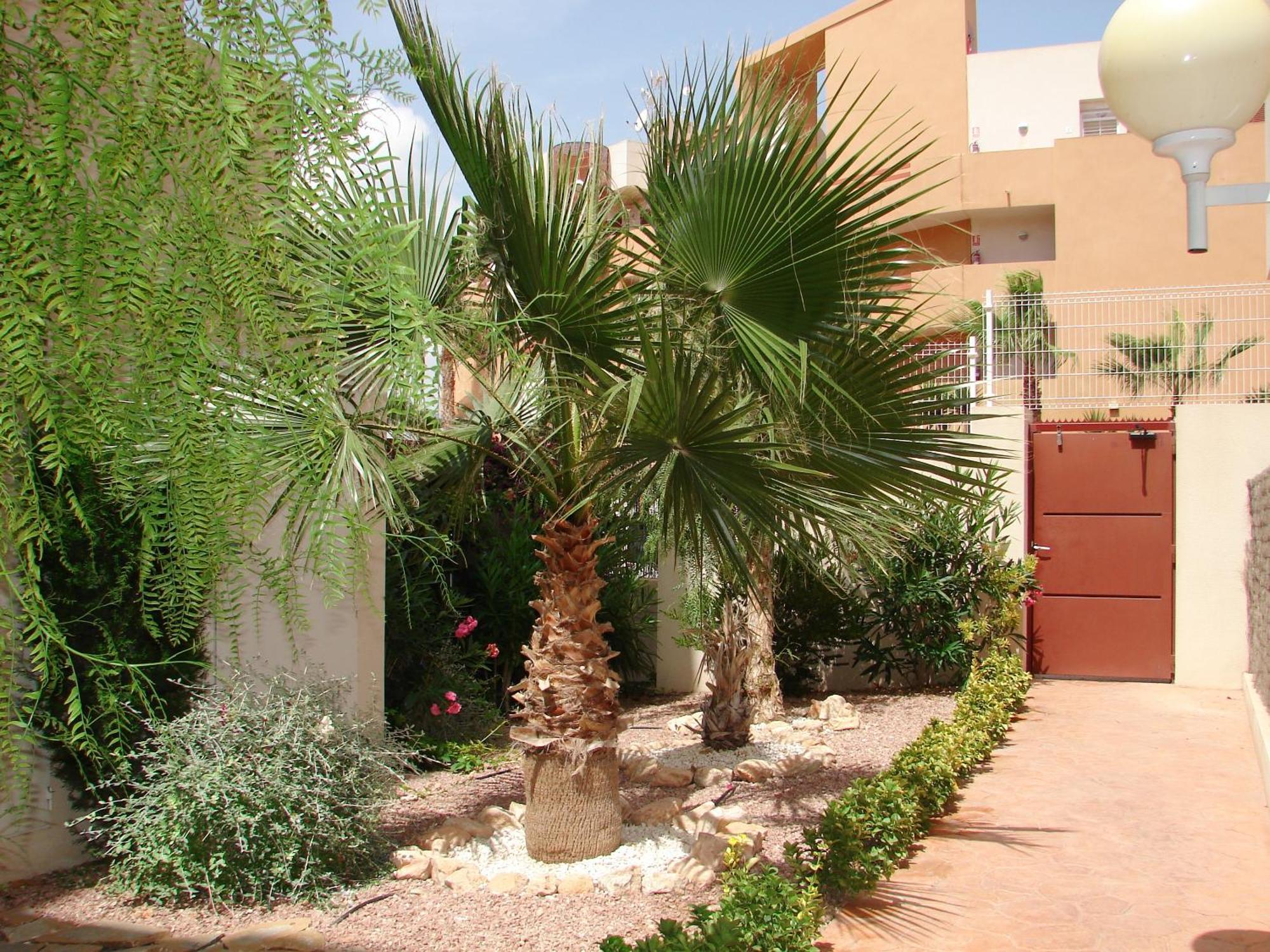 En Playa Flamenca Apartment *